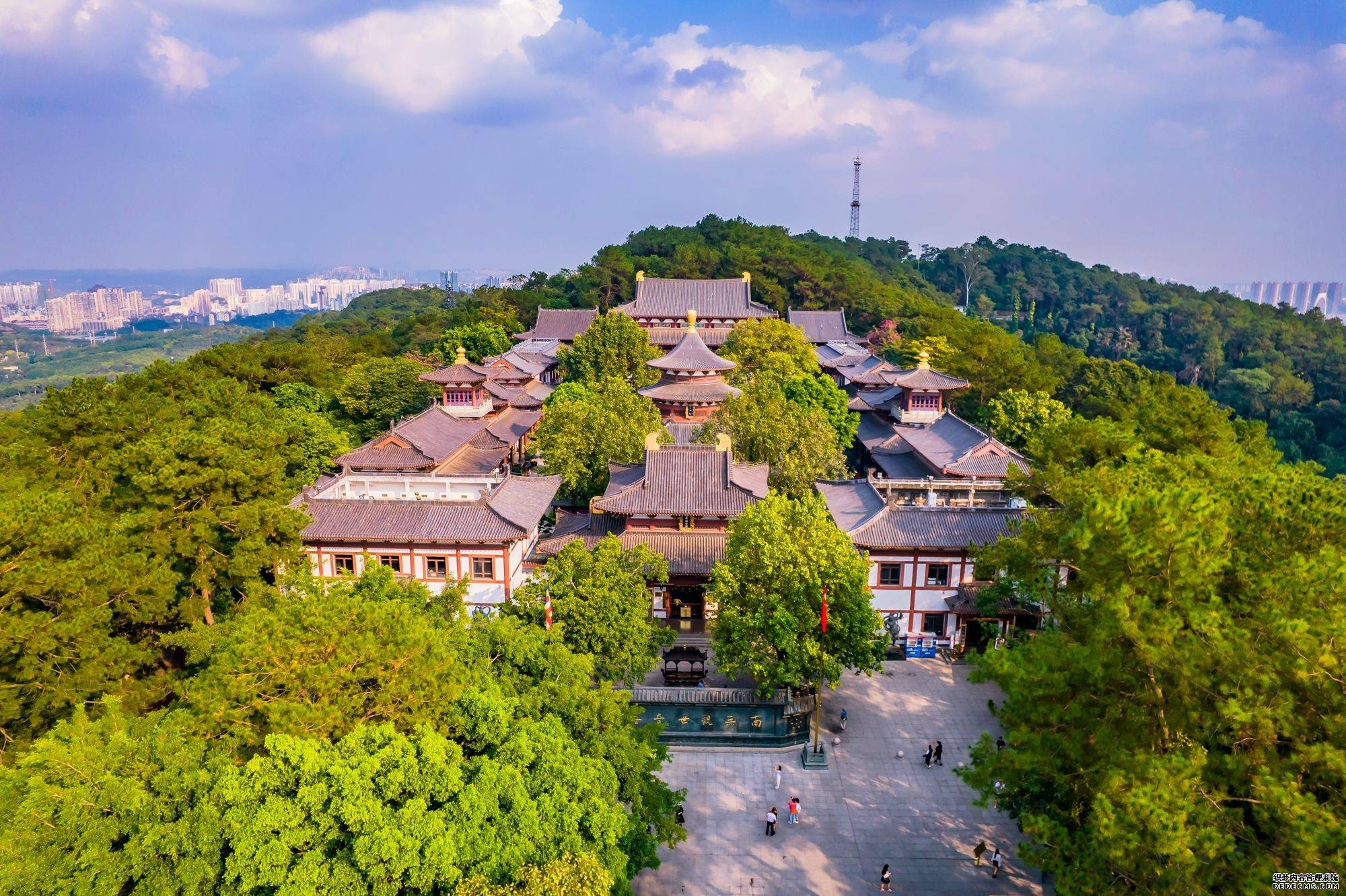 广西南宁｜调配运力保障供给 全力服务春日出游