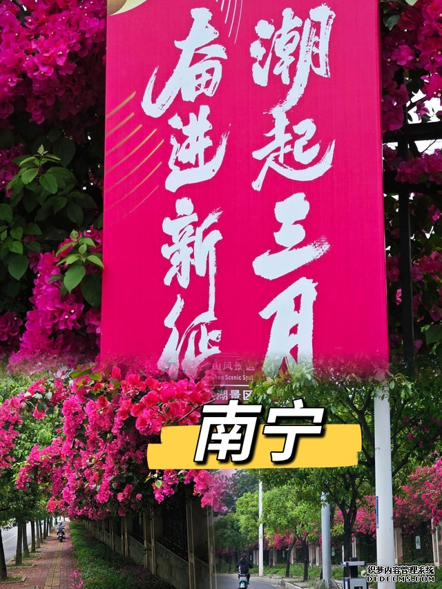 南宁邕宁区那楼街开圩307周年民俗文化庙会上演